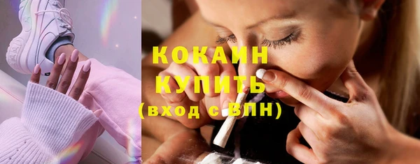 сатива Болохово