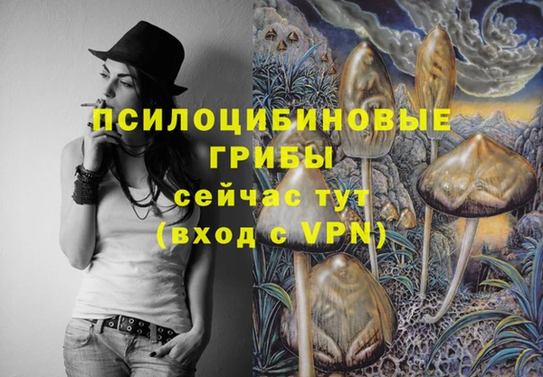 молекула духа Нефтегорск