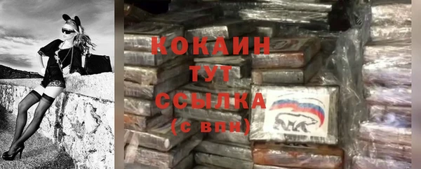 стаф Валуйки