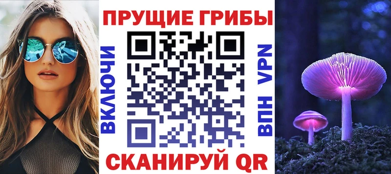 где купить наркотик  Энем  MEGA ONION  Галлюциногенные грибы прущие грибы 